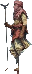 Wanderer study